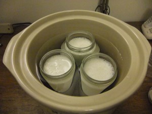 Fill Containers and Place in Water Bath Fill Containers and Place in Water Bath