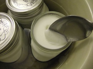 its_yogurt It's Yogurt!